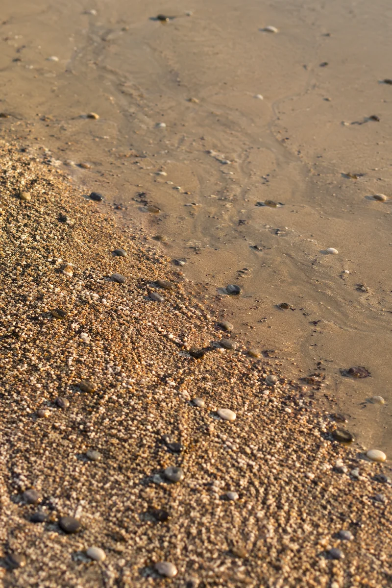 Coastal Sand Texture with Natural Details