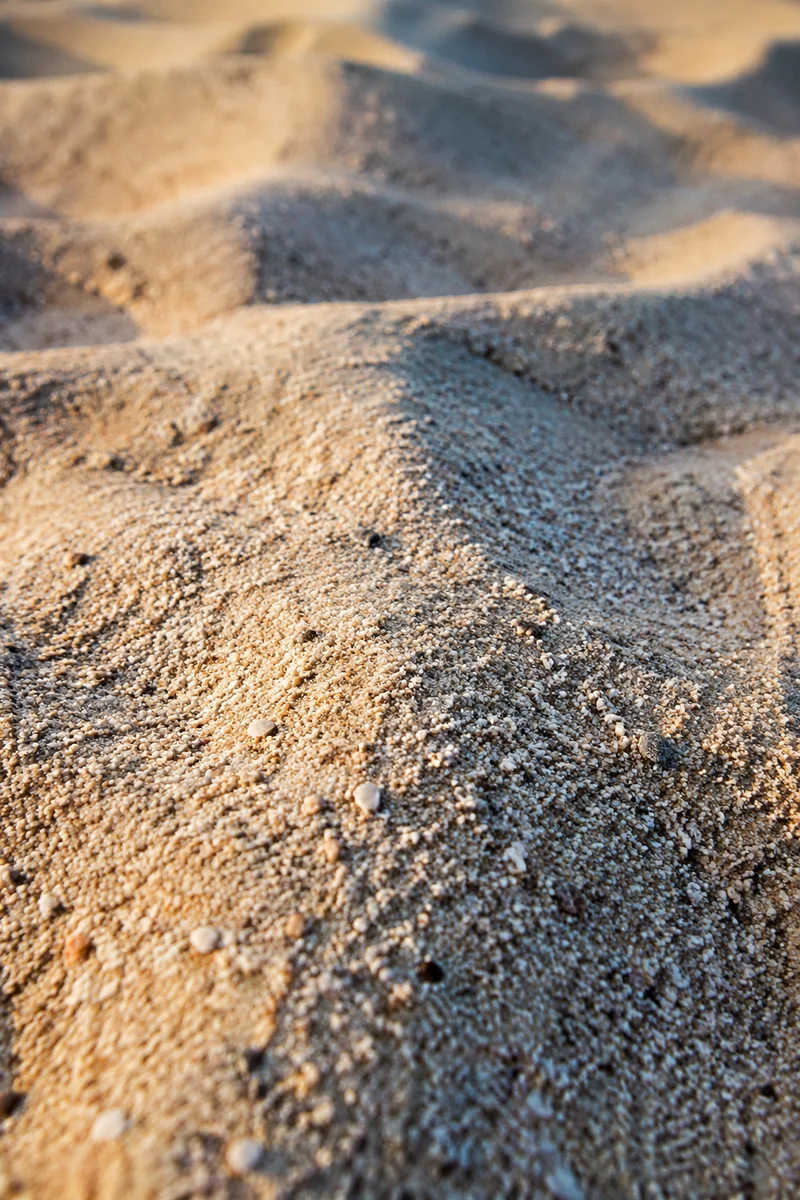 Golden Beach Sand Texture Close Up