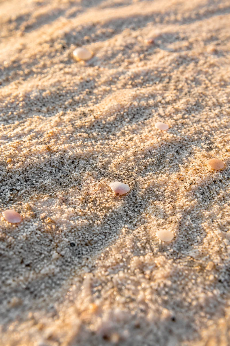 Close Up Beach Sand Texture