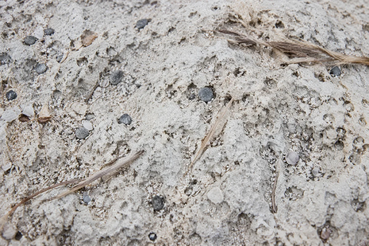Macro Pale Beach Sand Texture Background