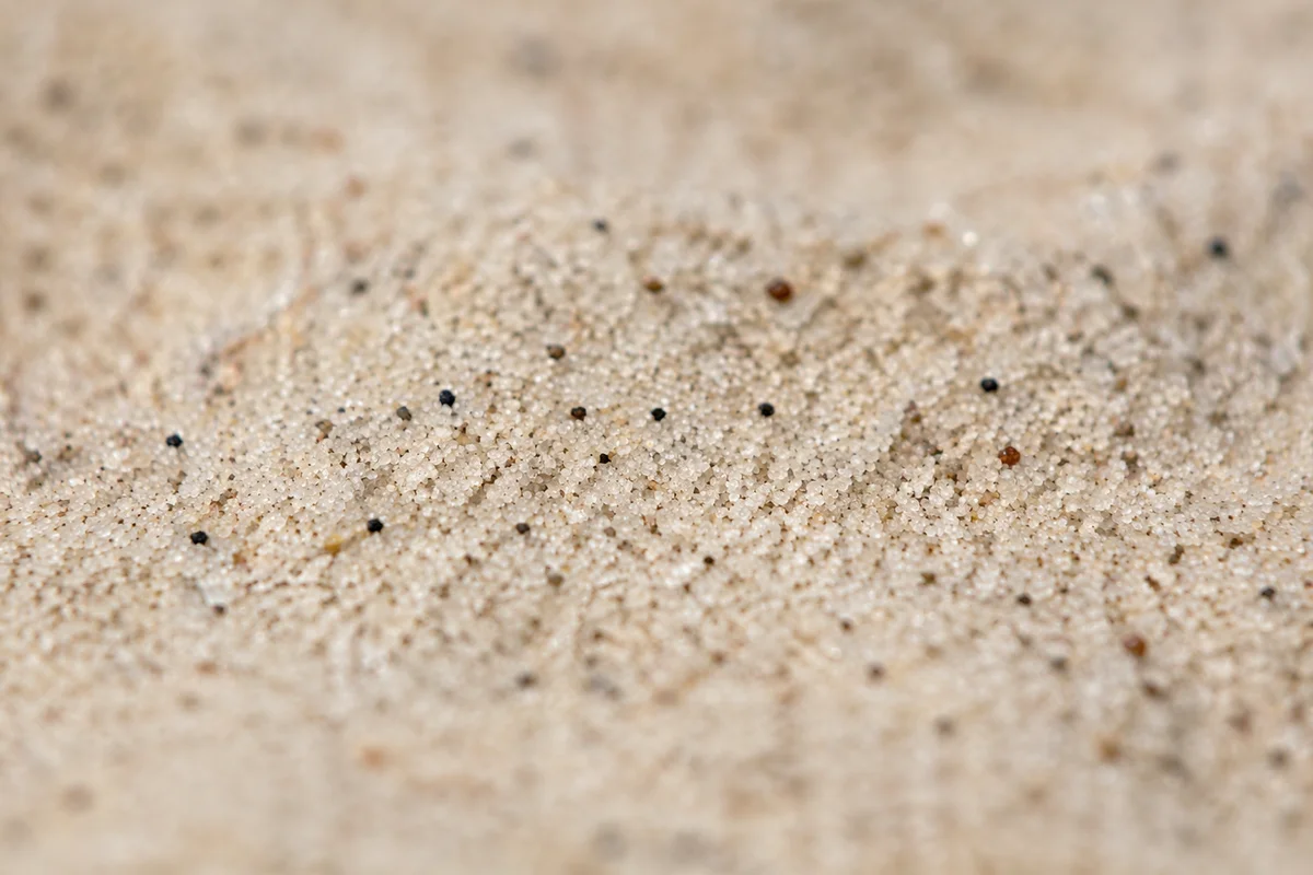 Fine Beach Sand Macro Texture Background