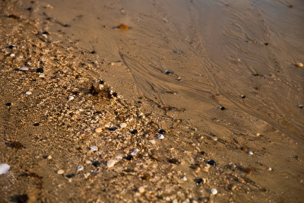 Beach Sand Texture with Coastal Details