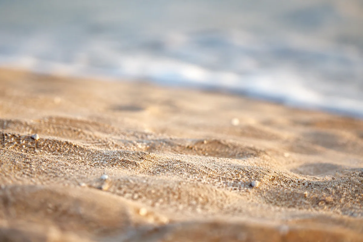 Macro Beach Sand with Morning Sea Foam