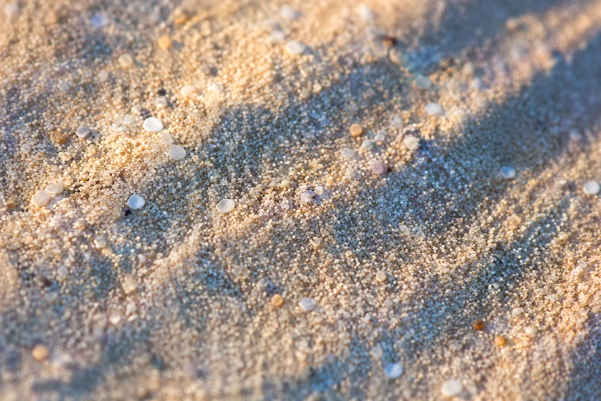 Peaceful Beach Sand Macro Texture