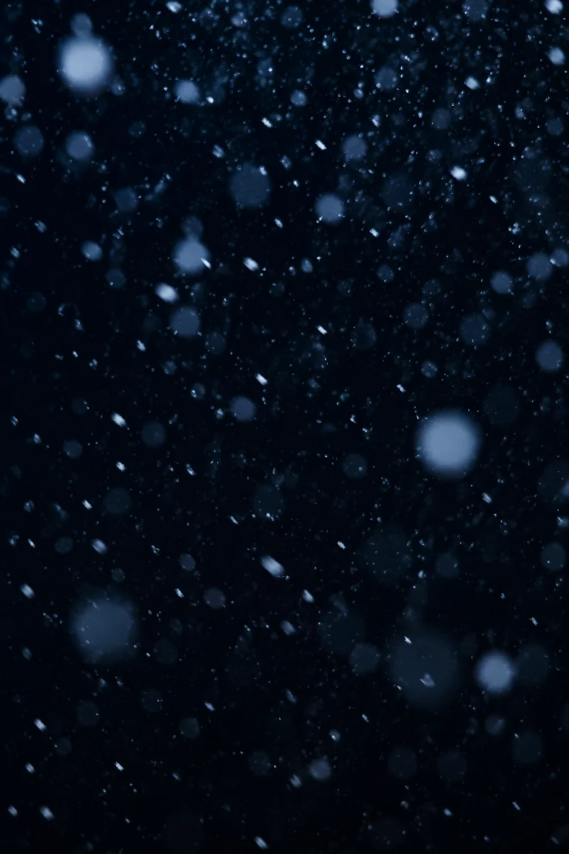 Soft Falling Snow on Dark Christmas Night