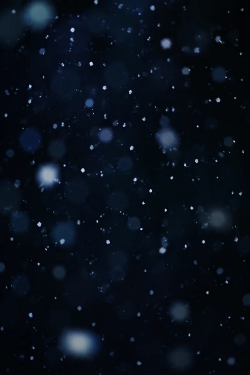 Soft Snowfall on Dark Christmas Night