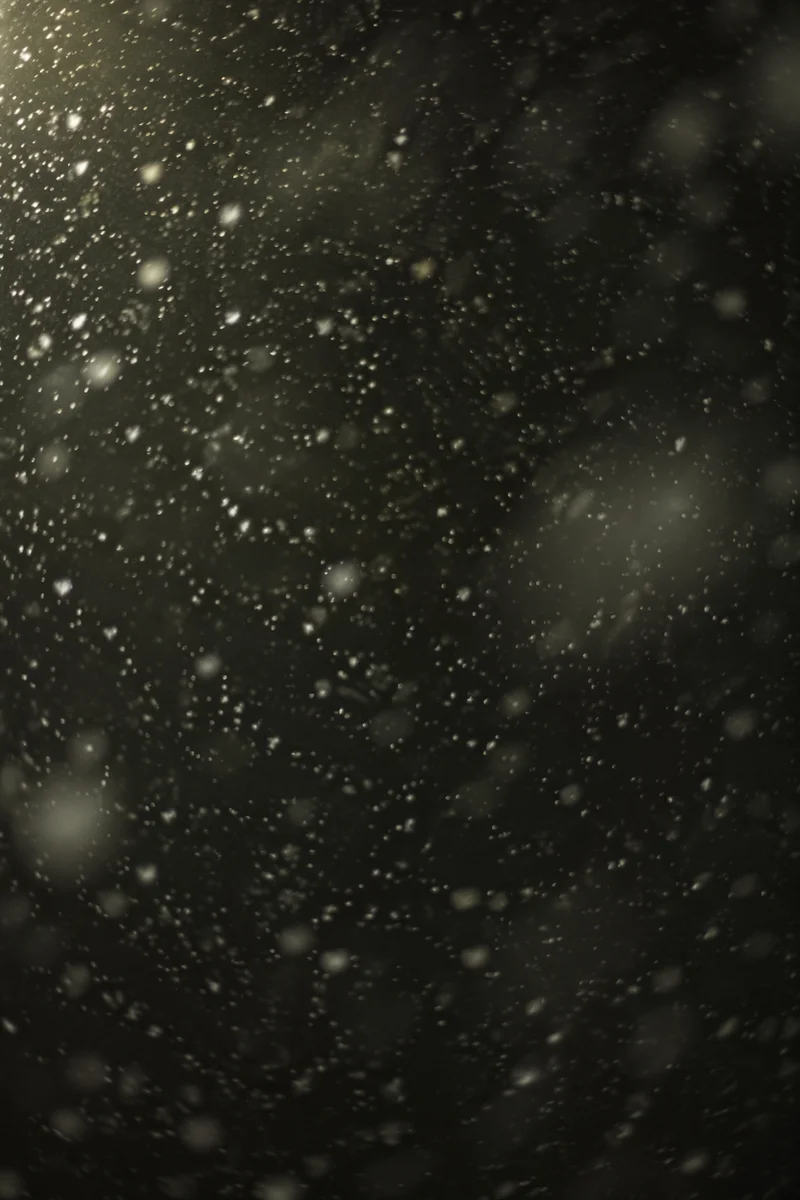 Soft Snowfall on Dark Christmas Night