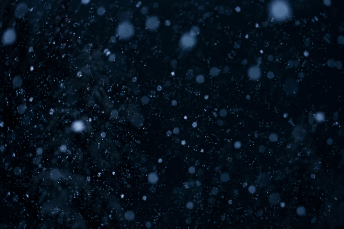 Soft Snowfall on Dark Christmas Night