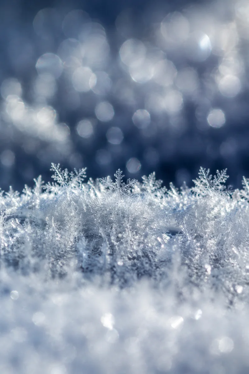 Macro Snow Crystals Winter Background