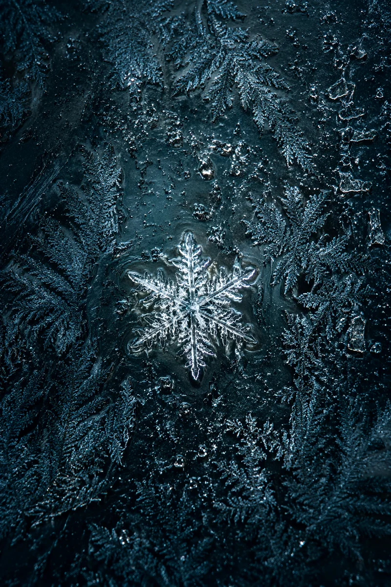 Glowing Snow Crystal Frost Background
