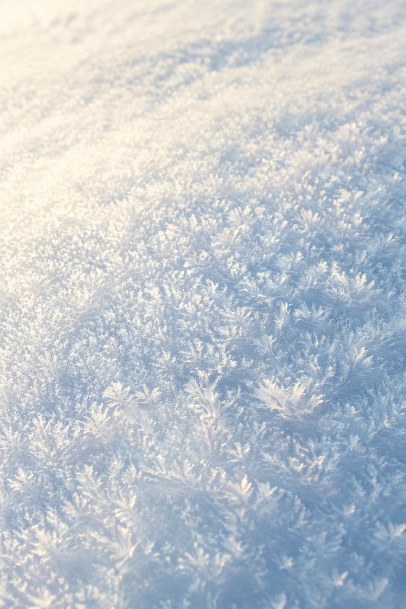 Pristine Snow Crystal Winter Background
