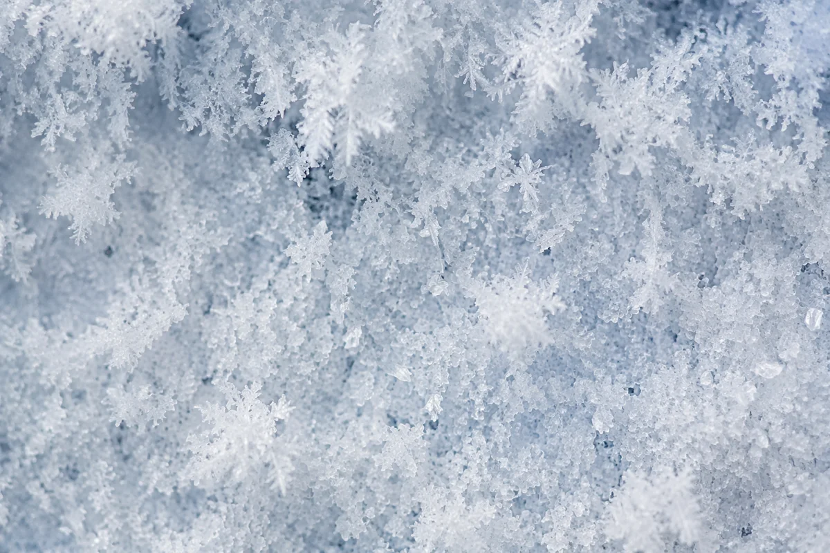 Fresh Snow and Frost Crystal Background