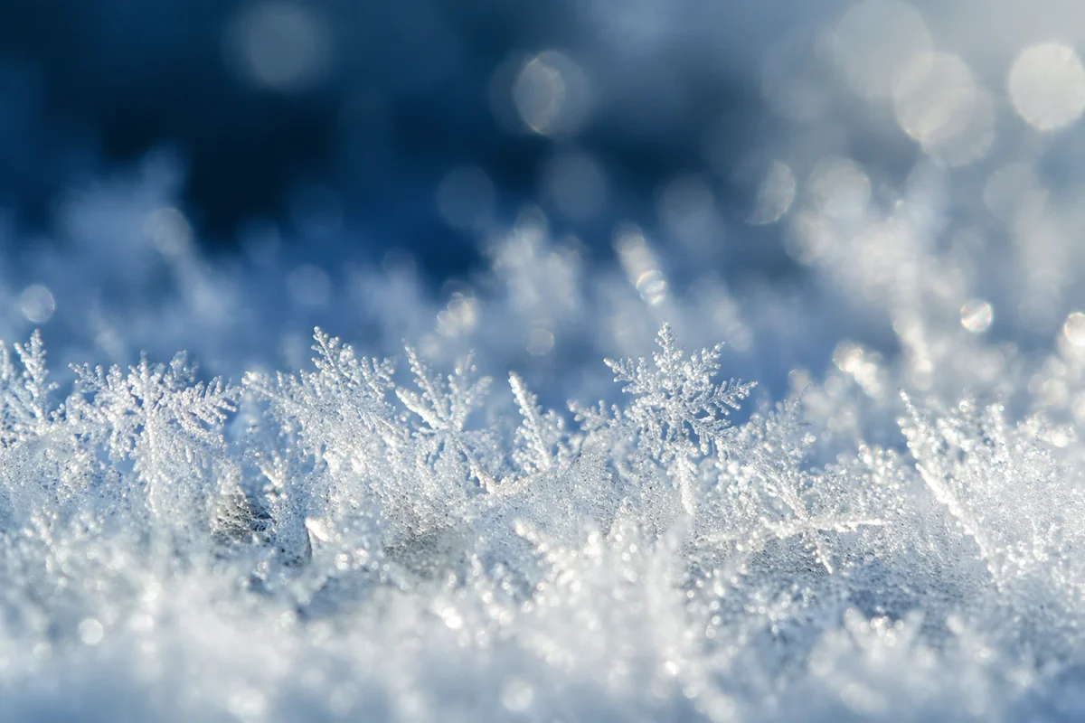 Fresh Snow Crystal Macro Winter Background