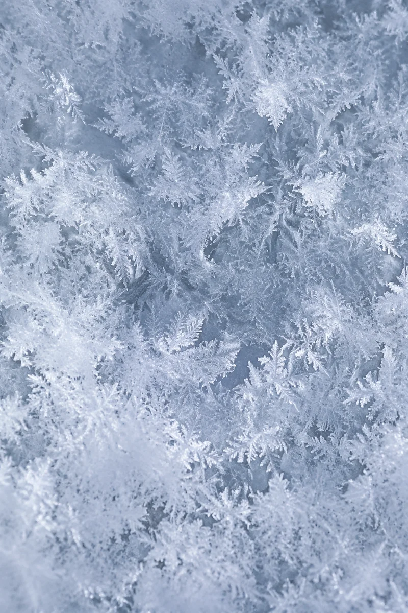 Photorealistic White Snow Crystal Texture