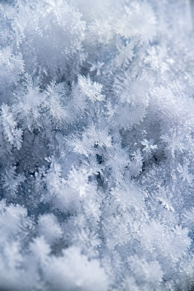 Fresh Snow and Ice Crystal Texture