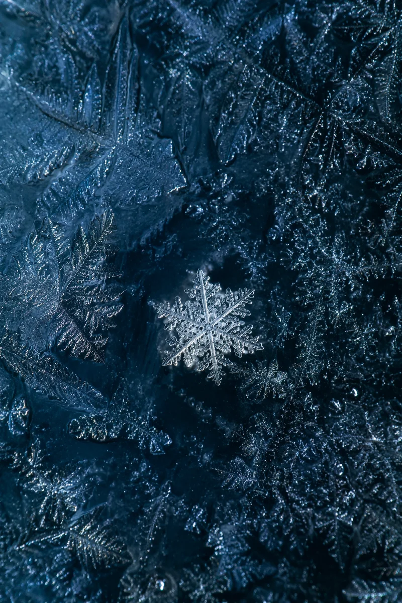 Glowing Snow Crystal on Dark Frost