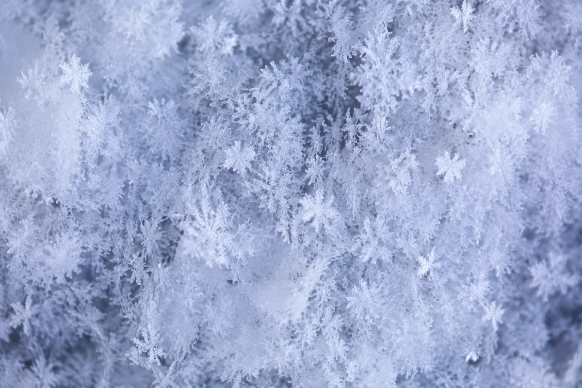 Fresh Snow and Ice Crystal Texture