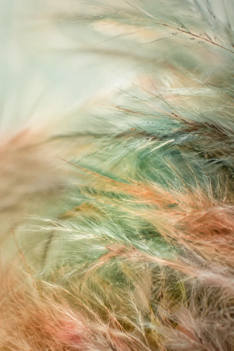 Soft Pastel Botanical Wash Background