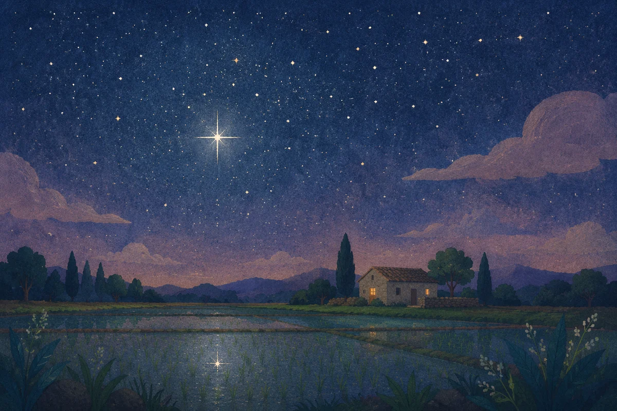 Bright Star Over Quiet Wetland Night