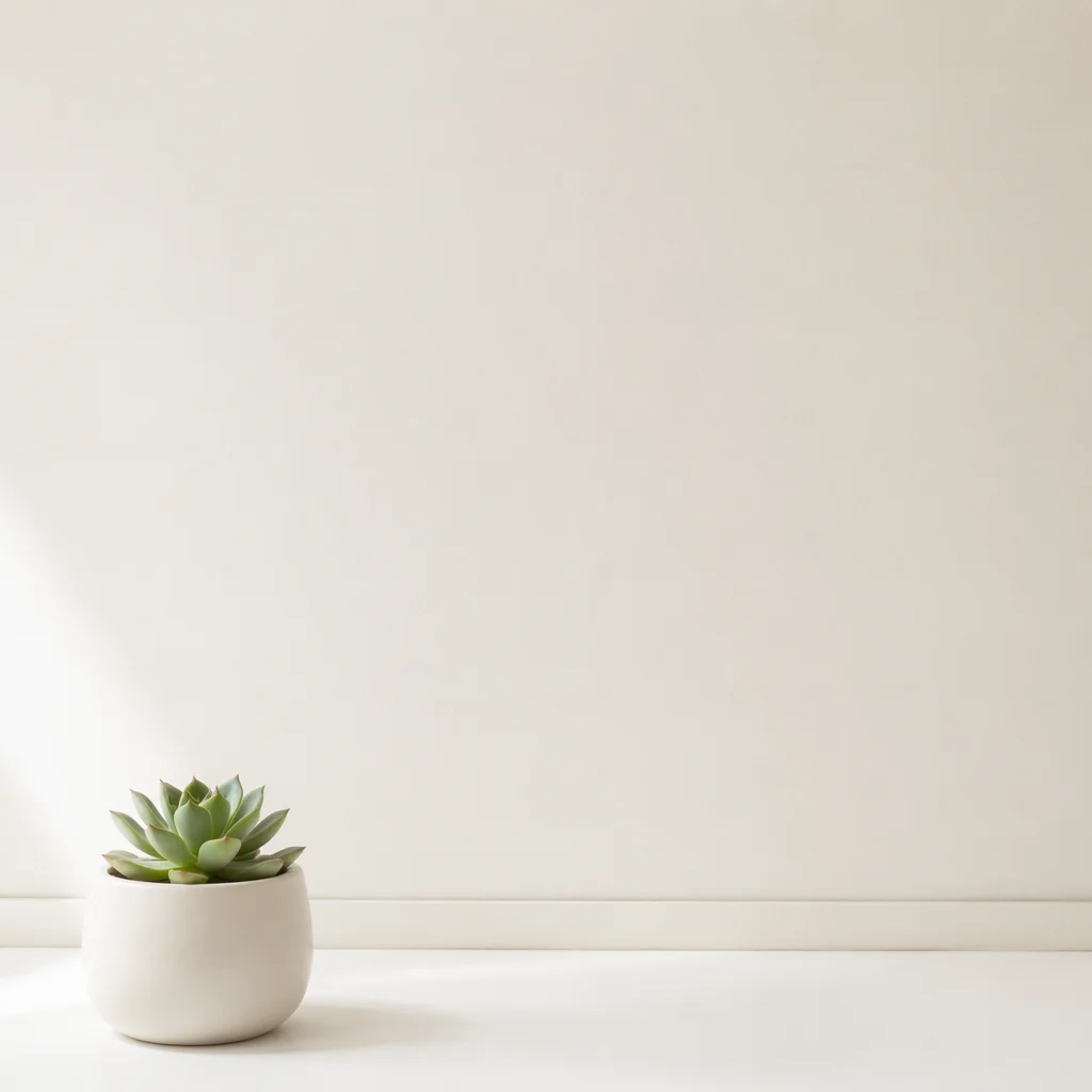 Minimal White Succulent Background with Copy Space