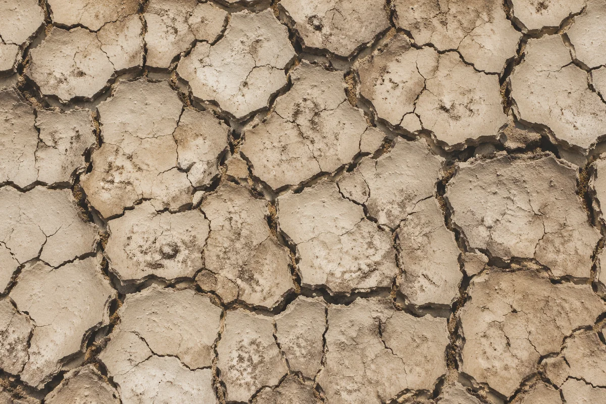 Cracked Desert Mud Texture Background