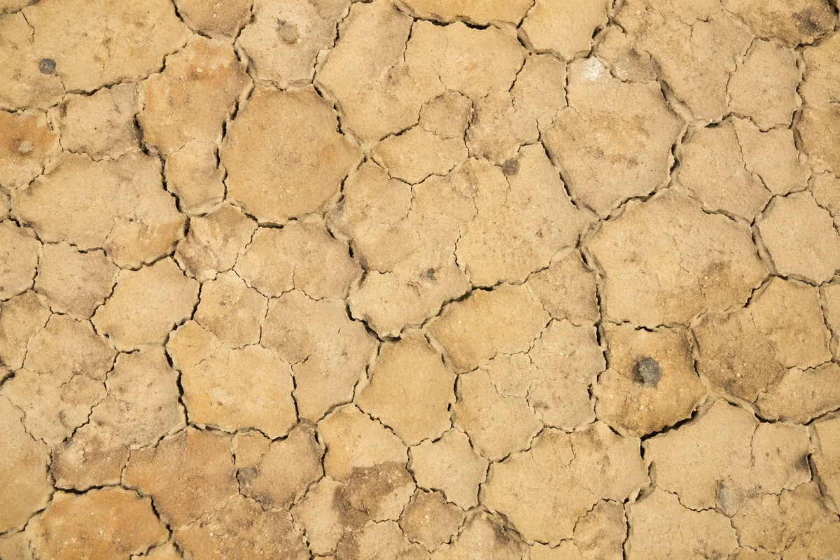 Cracked Desert Mud Texture Background