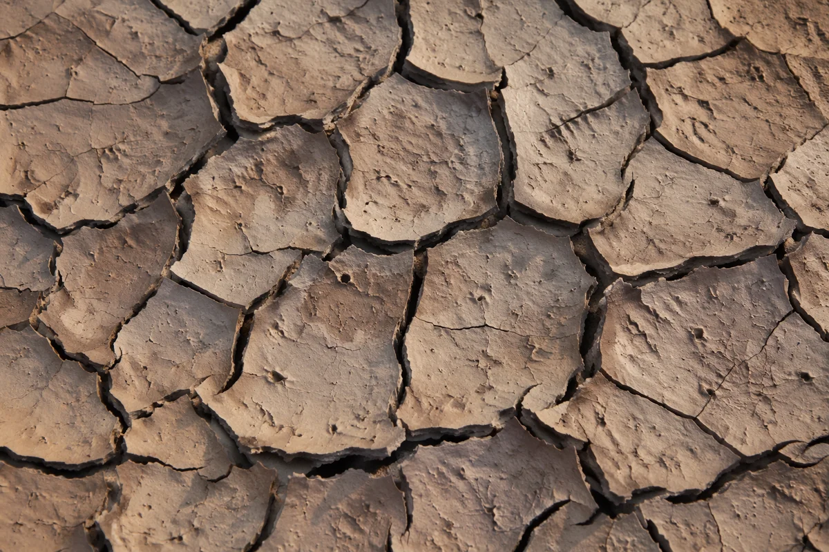 Photorealistic Cracked Desert Mud Texture