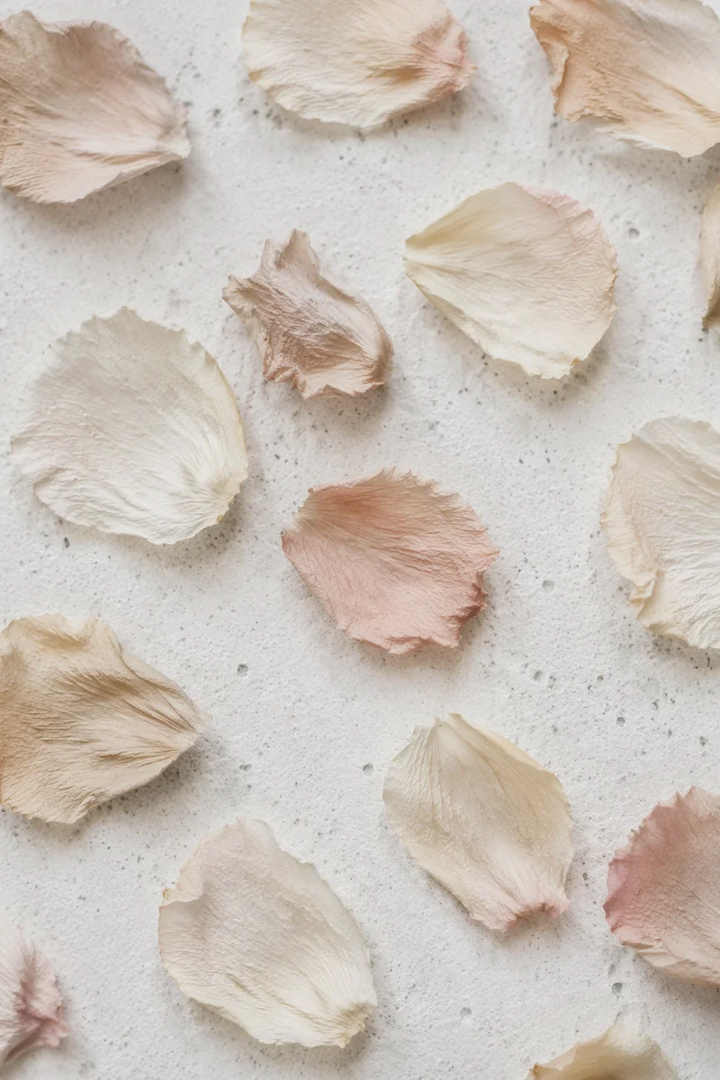 Dried Flower Petals on White Background