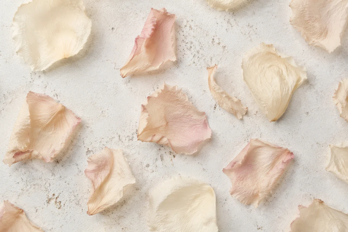 Dried Flower Petals on White Background