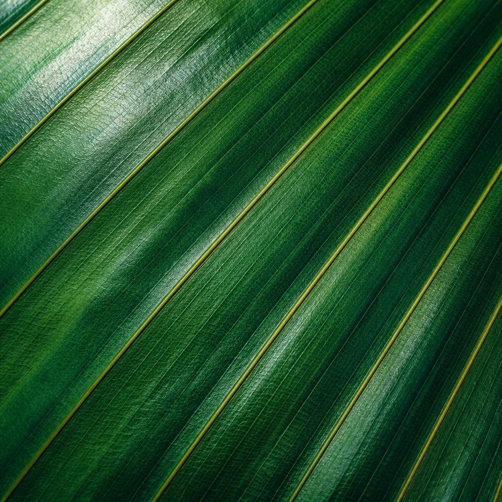 Emerald Leaf Veins Macro Texture