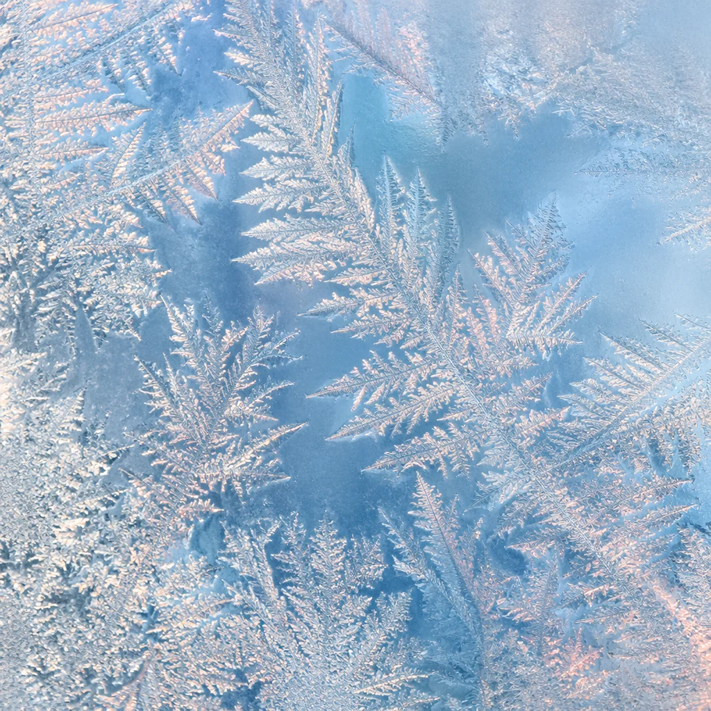 Delicate Winter Frost Crystals on Glass