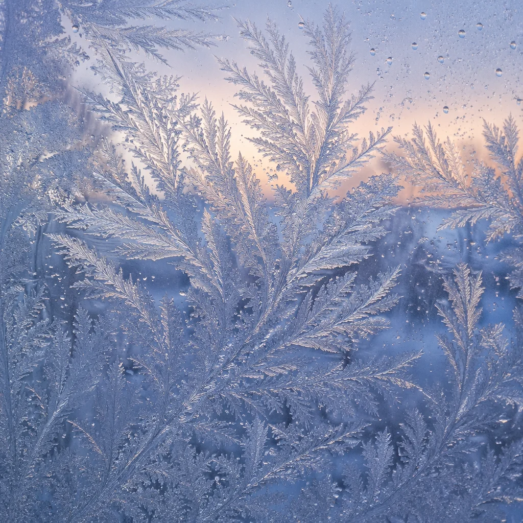 Intricate Winter Frost Crystals on Glass