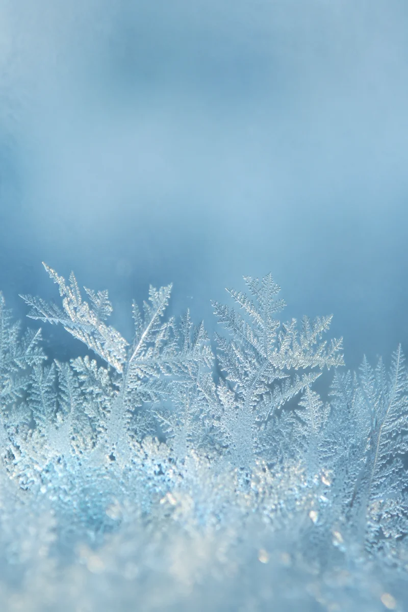Delicate Winter Frost Crystals on Blue Glass