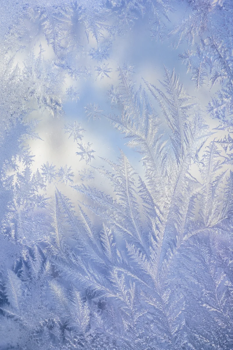 Intricate Winter Frost Crystal Glass Texture