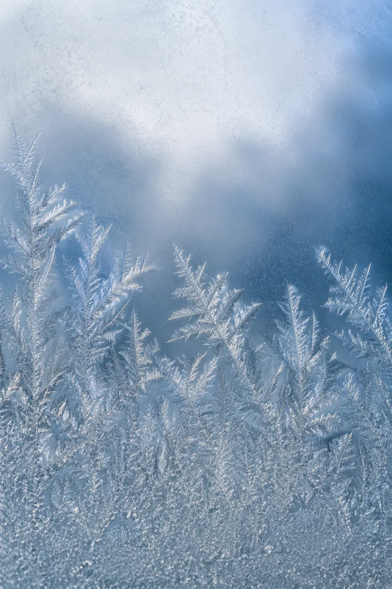 Delicate Winter Frost Crystals on Glass