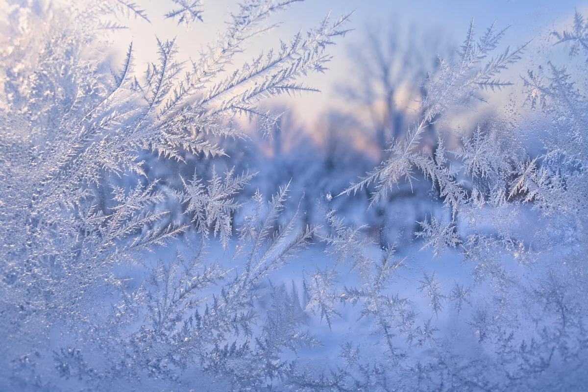 Winter Ice Crystal Frost Glass Background