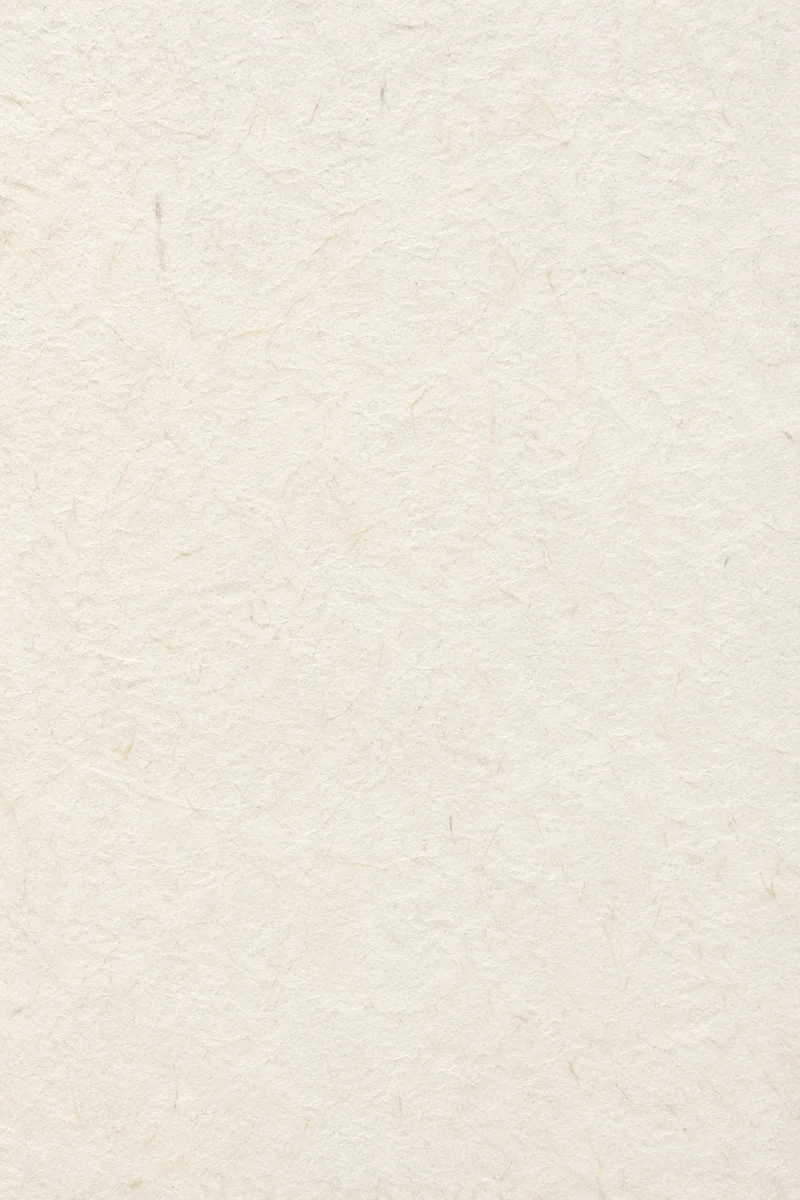 Handmade Japanese Washi Paper Fiber Background