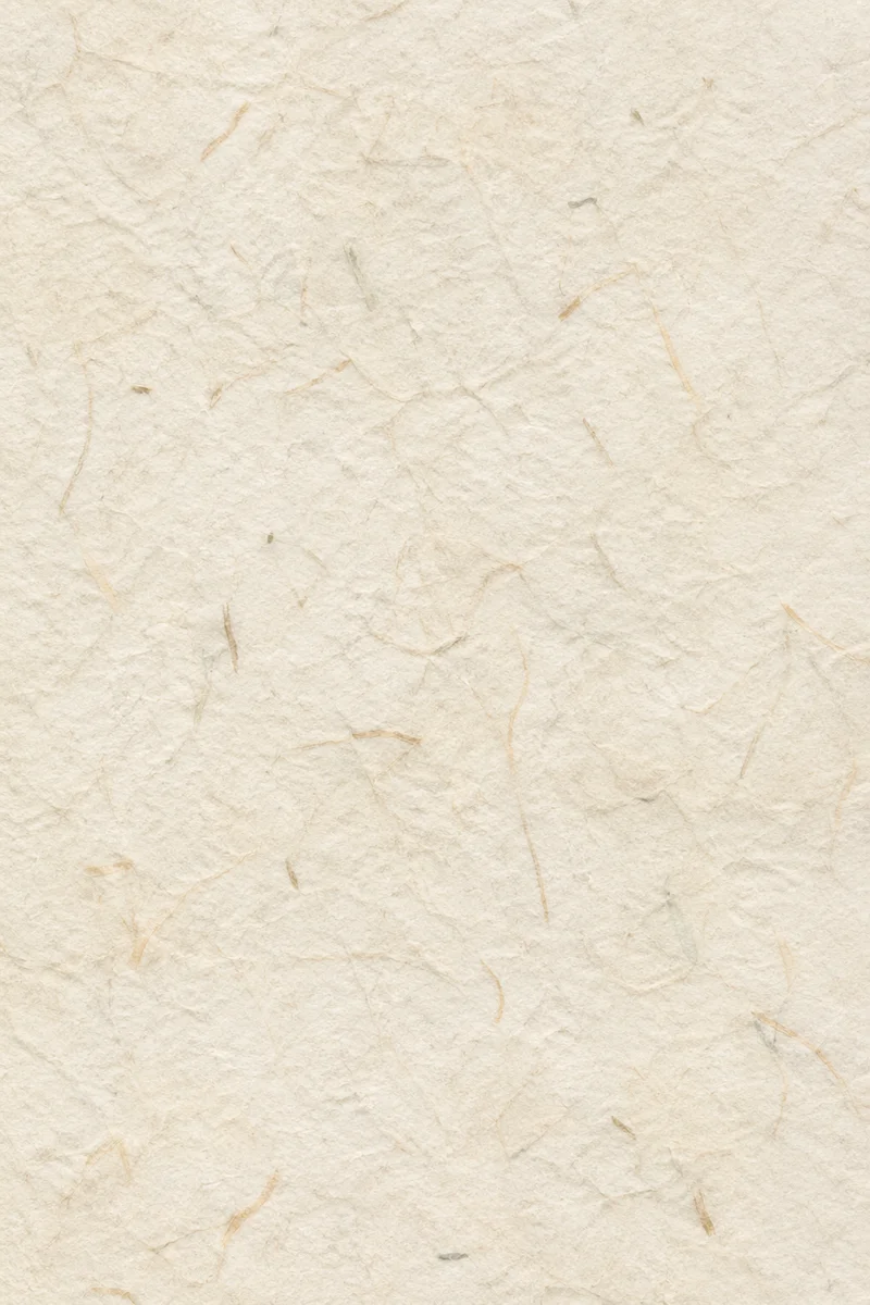 Handmade Japanese Washi Paper Fiber Background