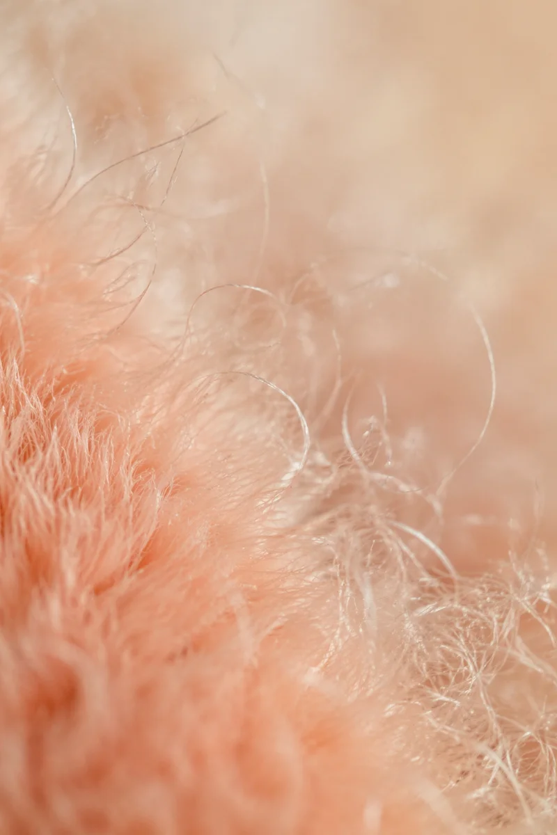 Soft Peach Fuzz Velvet Macro Texture