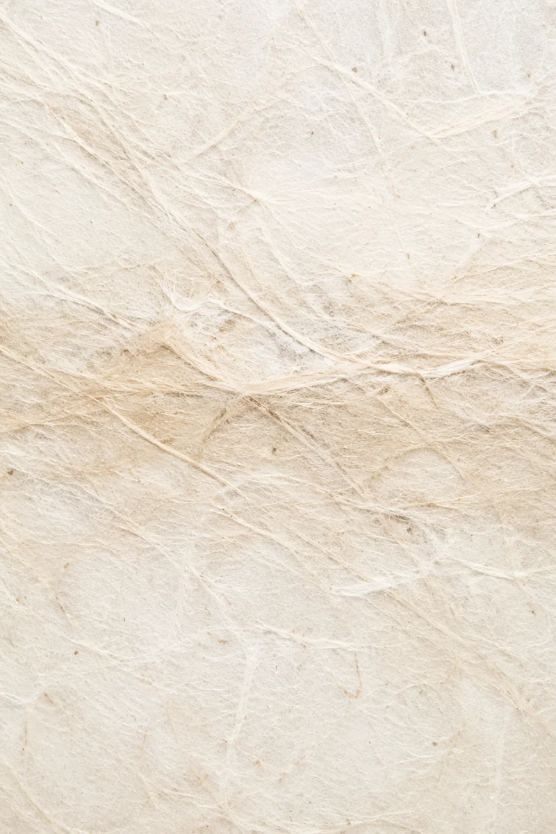 Translucent White Rice Paper Texture
