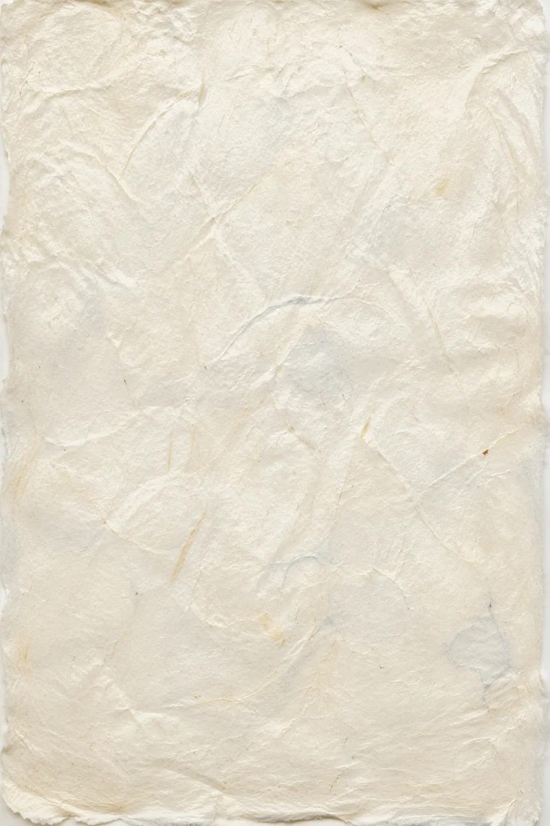 Translucent Natural White Rice Paper Texture