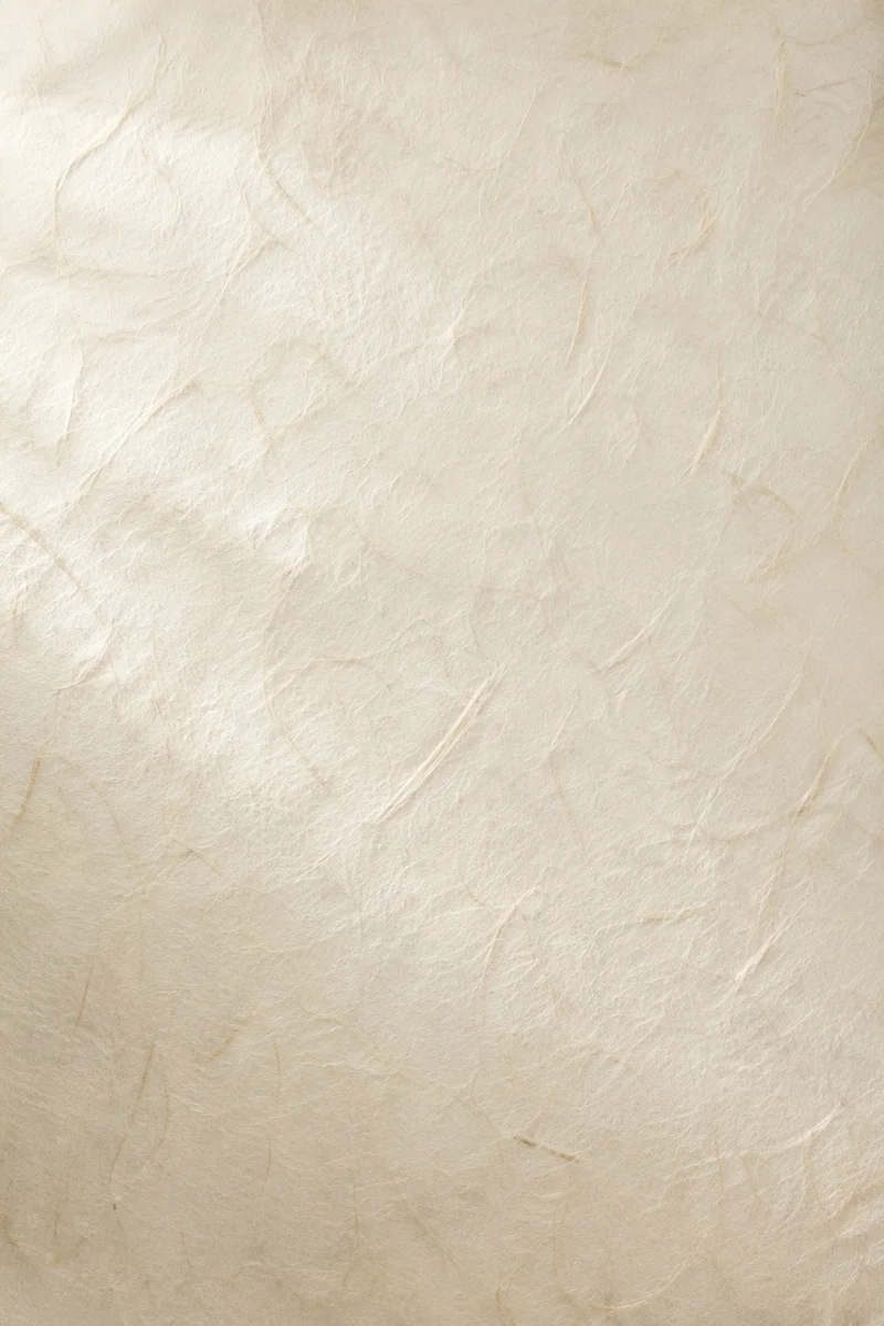 Translucent Rice Paper Texture in Soft White