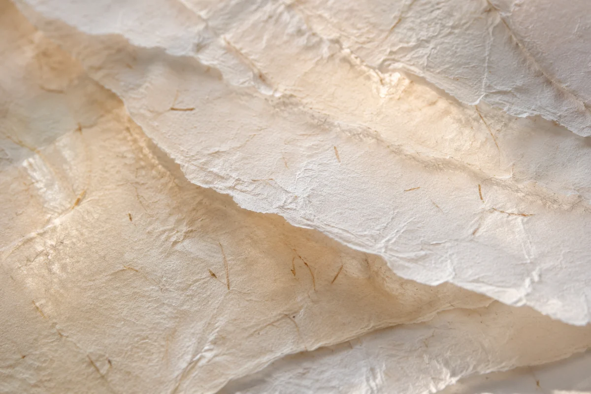 Translucent Natural White Rice Paper Texture