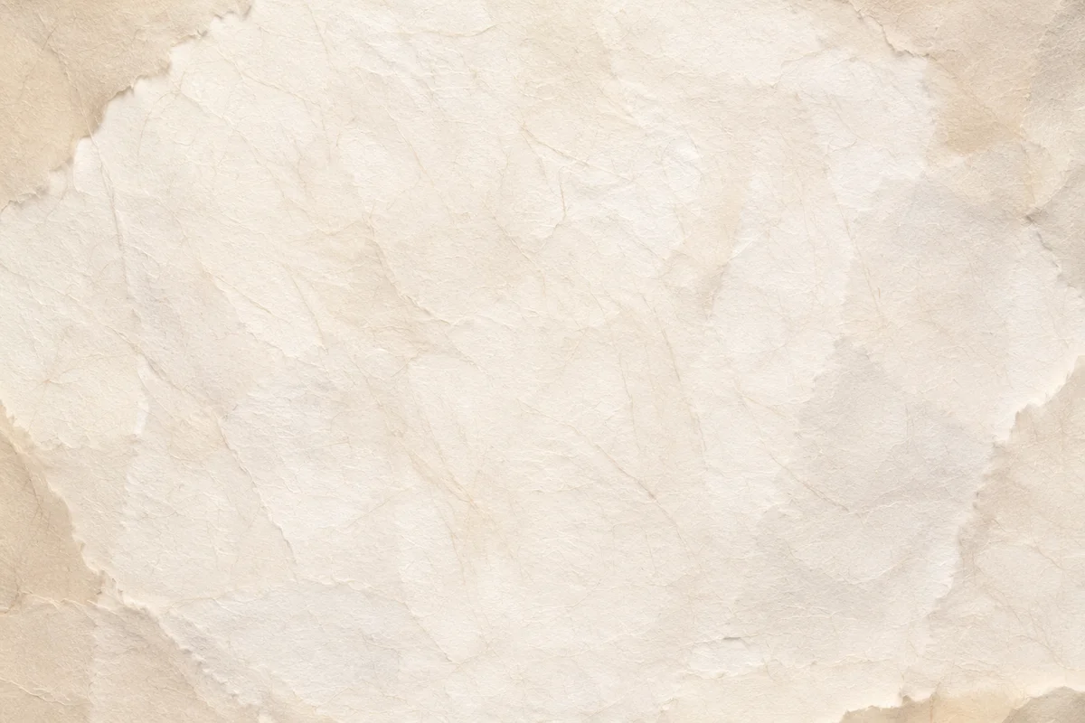 Translucent Natural White Rice Paper Texture