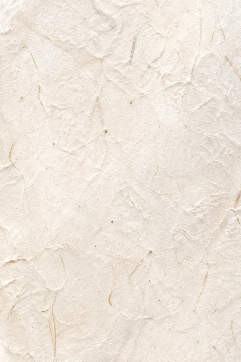 Translucent Natural White Rice Paper Texture