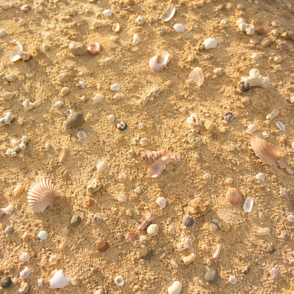 Warm Golden Beach Sand Texture Background