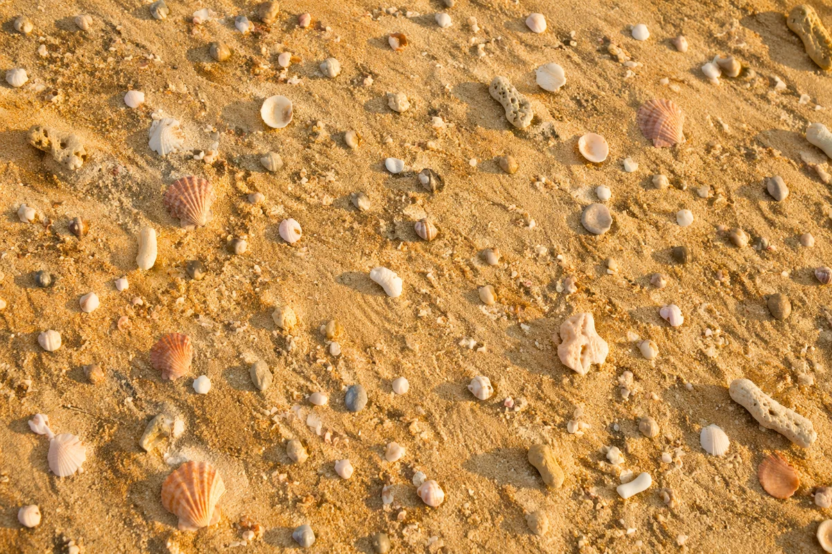 Warm Golden Beach Sand Texture Background