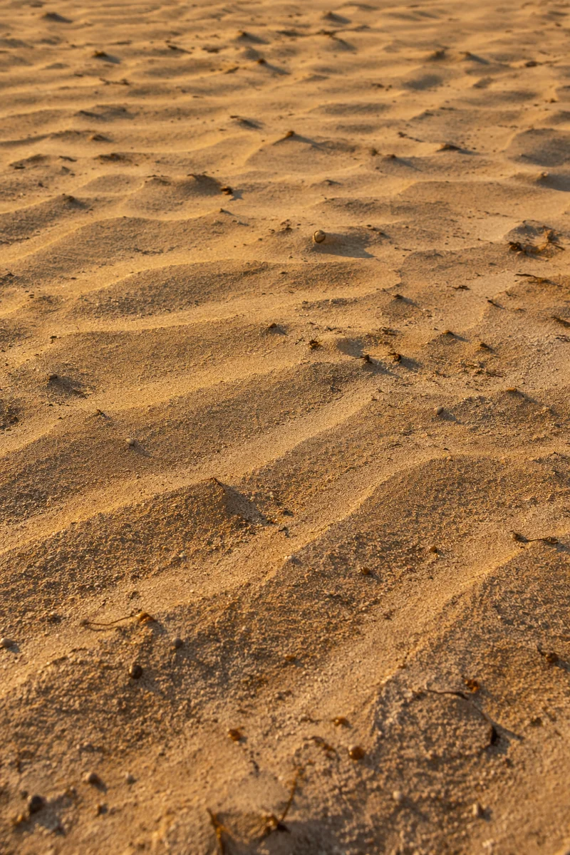 Warm Golden Beach Sand Texture Close Up