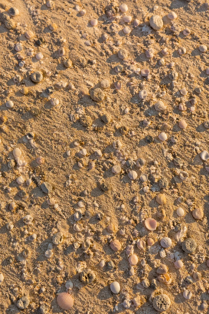 Warm Golden Beach Sand Texture Background