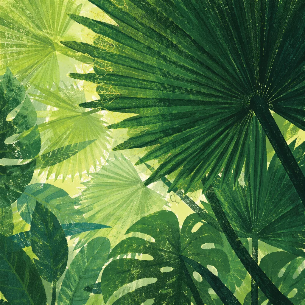Lush Tropical Palm and Monstera Background